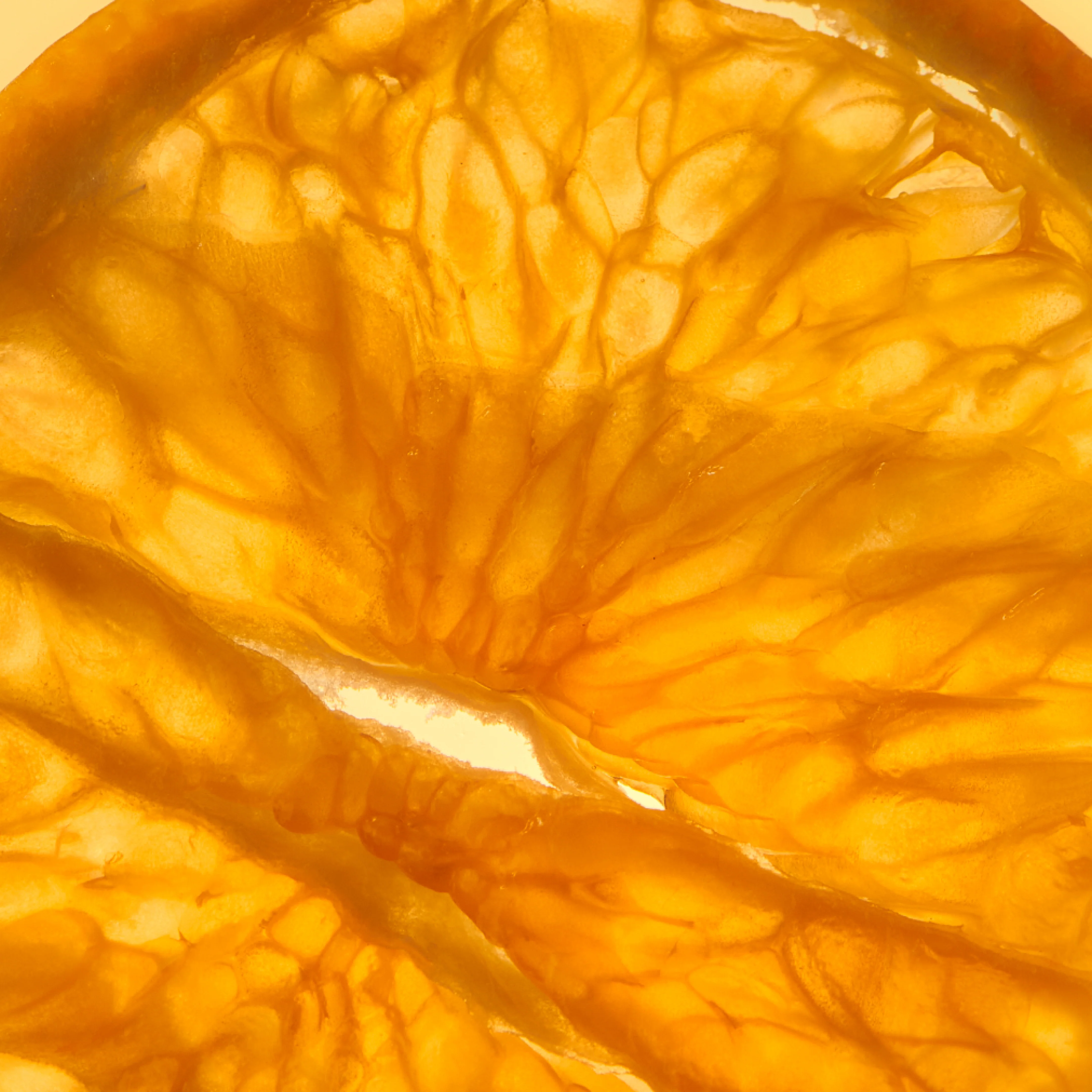 Brain Boost Gummies - The Flavor Sampler 🍓 - Image 5